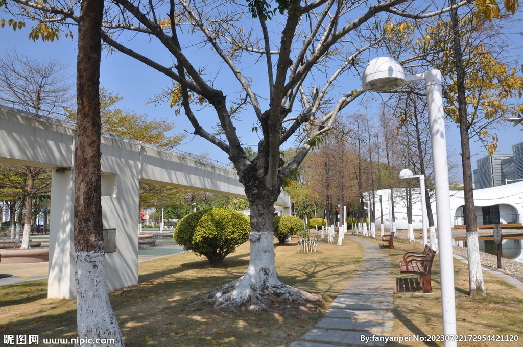 城市公园小路