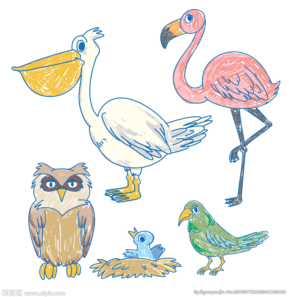 手绘鸟类