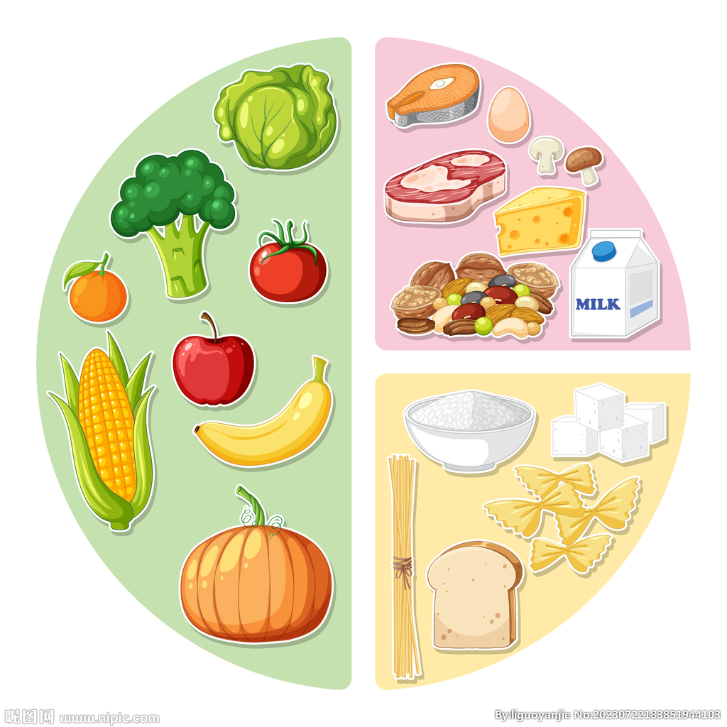 食物插画