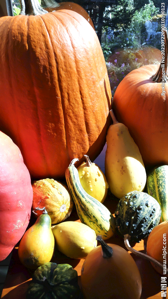 南瓜