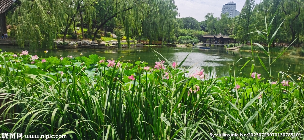 公园风景