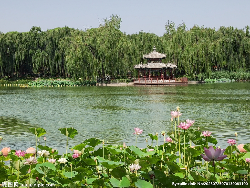 公园风景 