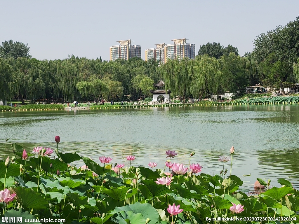 公园风景 