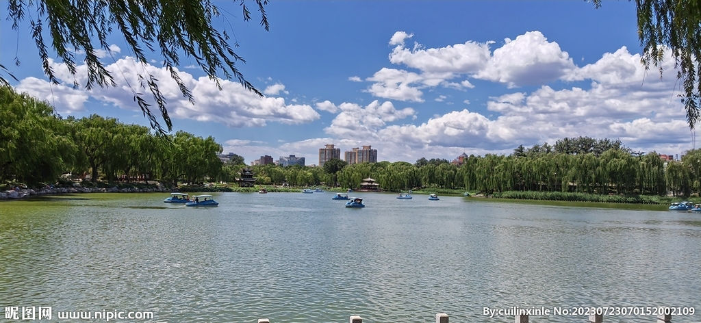 公园风景  