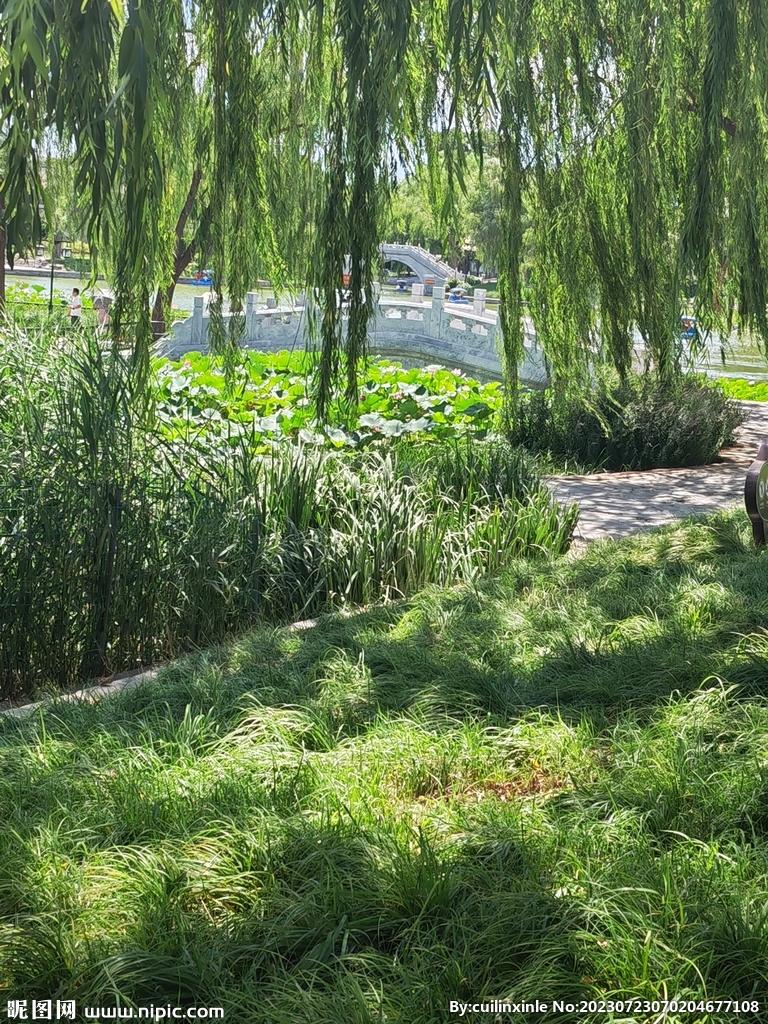 公园风景 