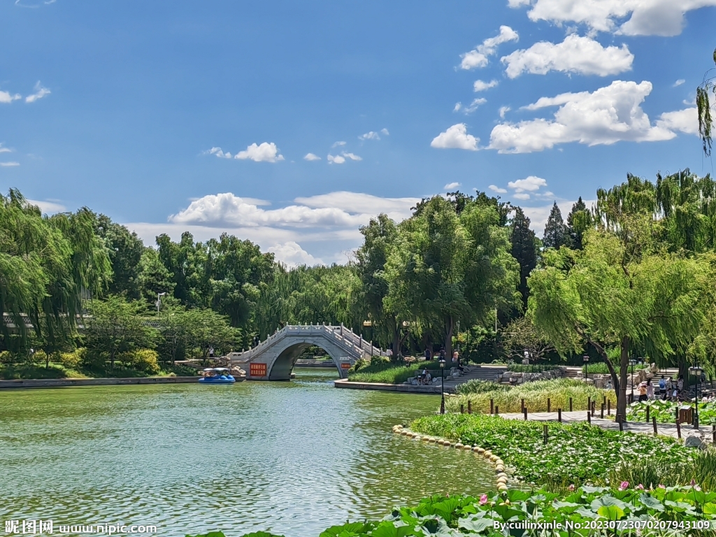 公园风景