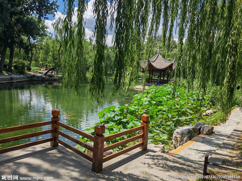 公园风景