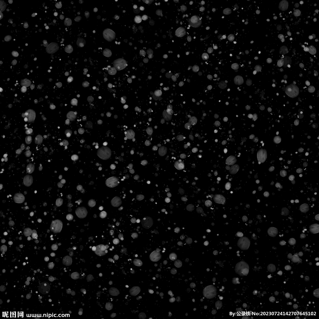 雪花粒子