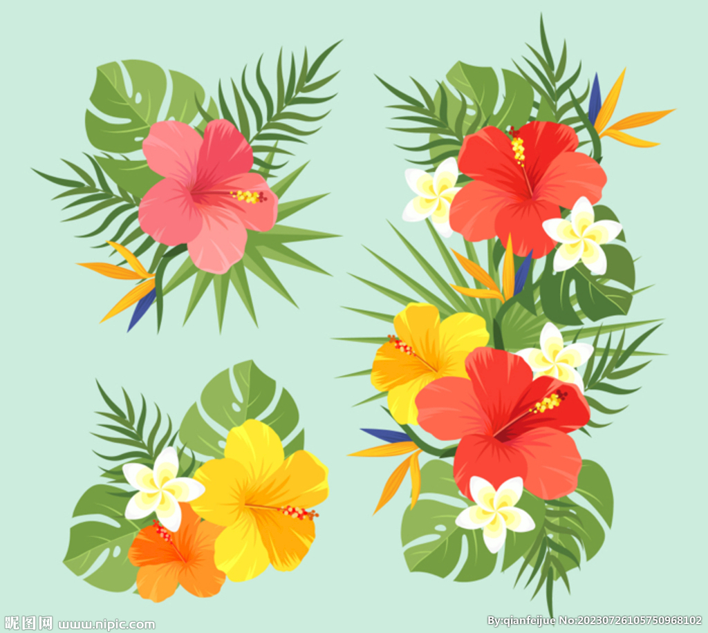 鲜花插画