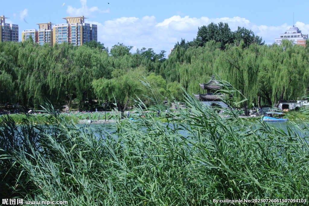 公园风景 