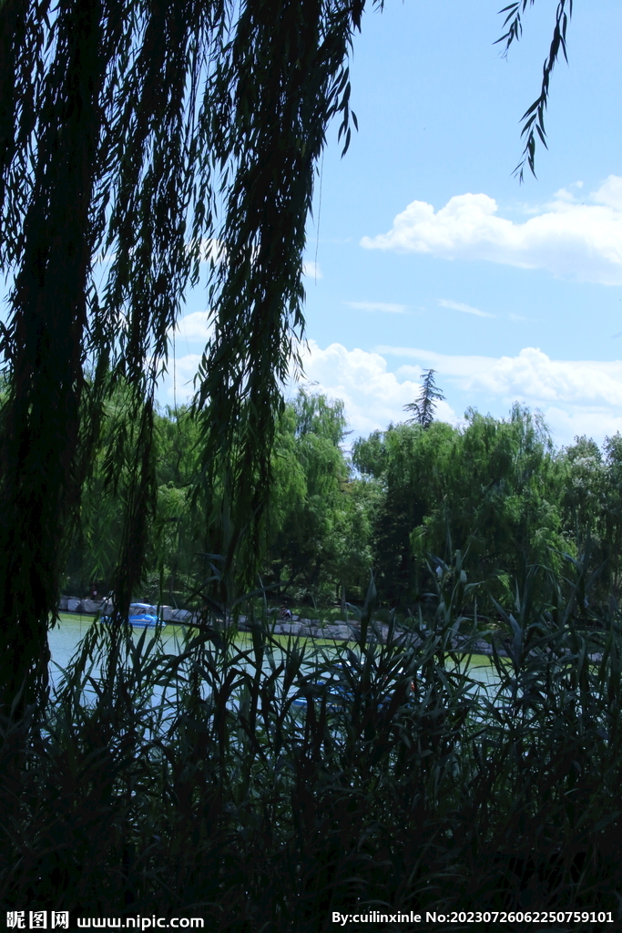 公园风景 