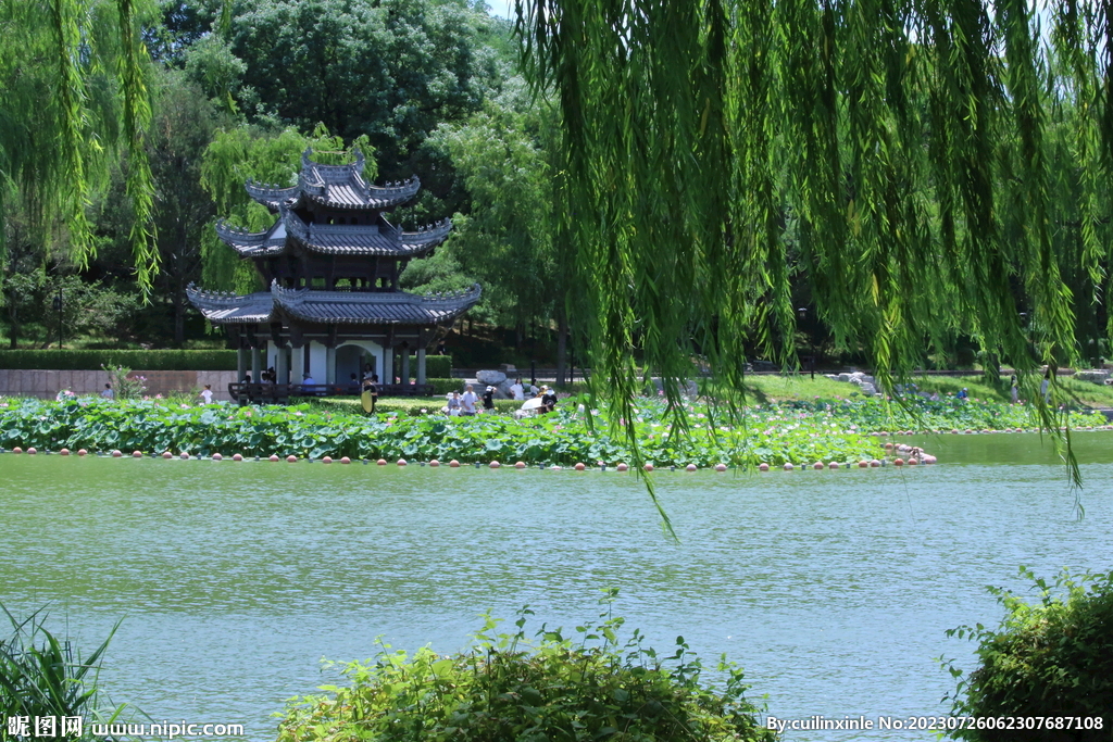 公园风景