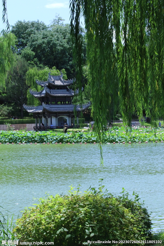 公园风景 