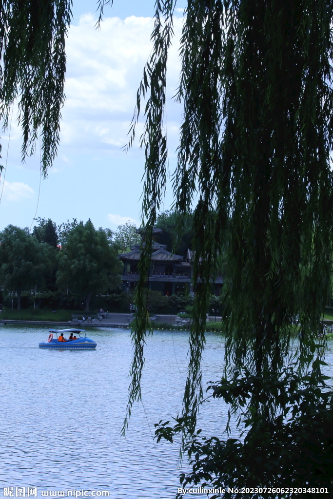 公园风景