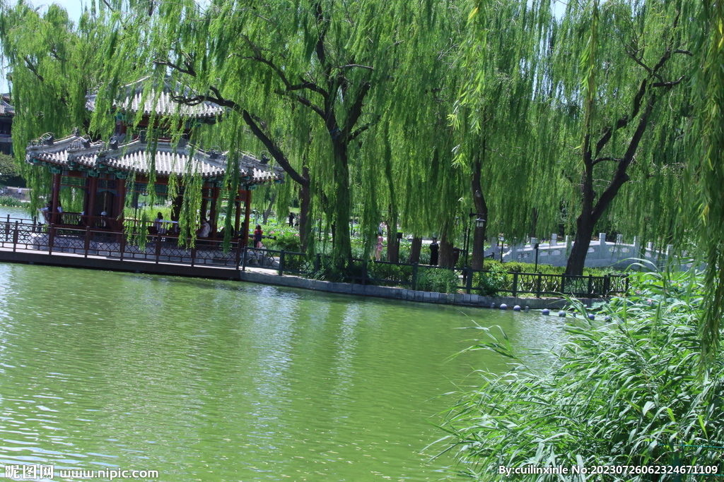 公园风景 