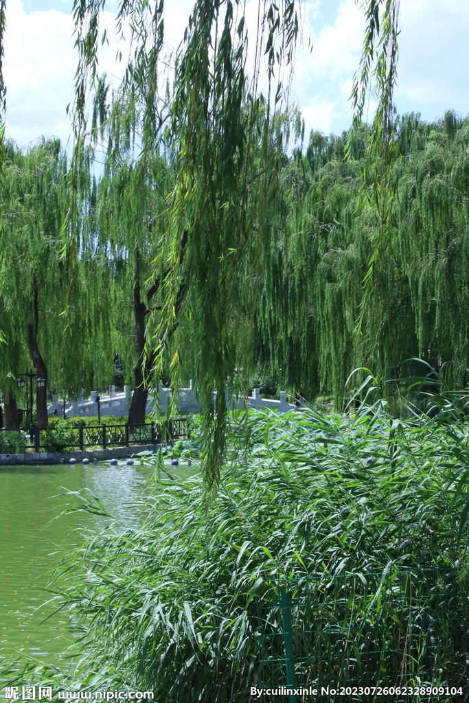 公园风景 