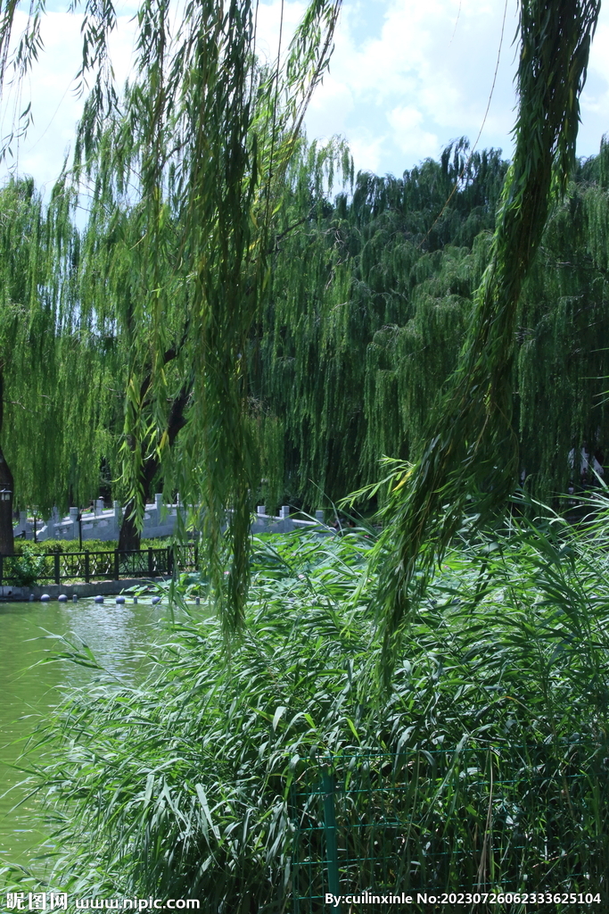 公园风景