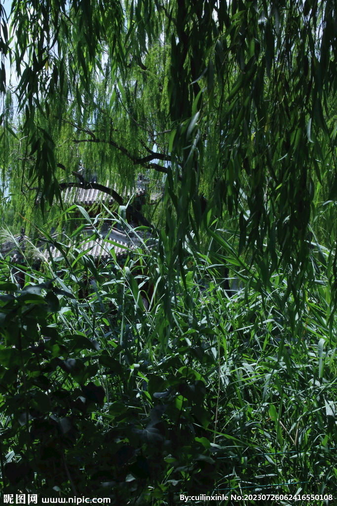公园风景 