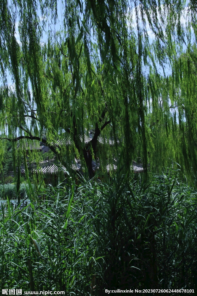 公园风景 