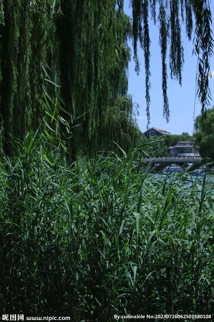 公园风景