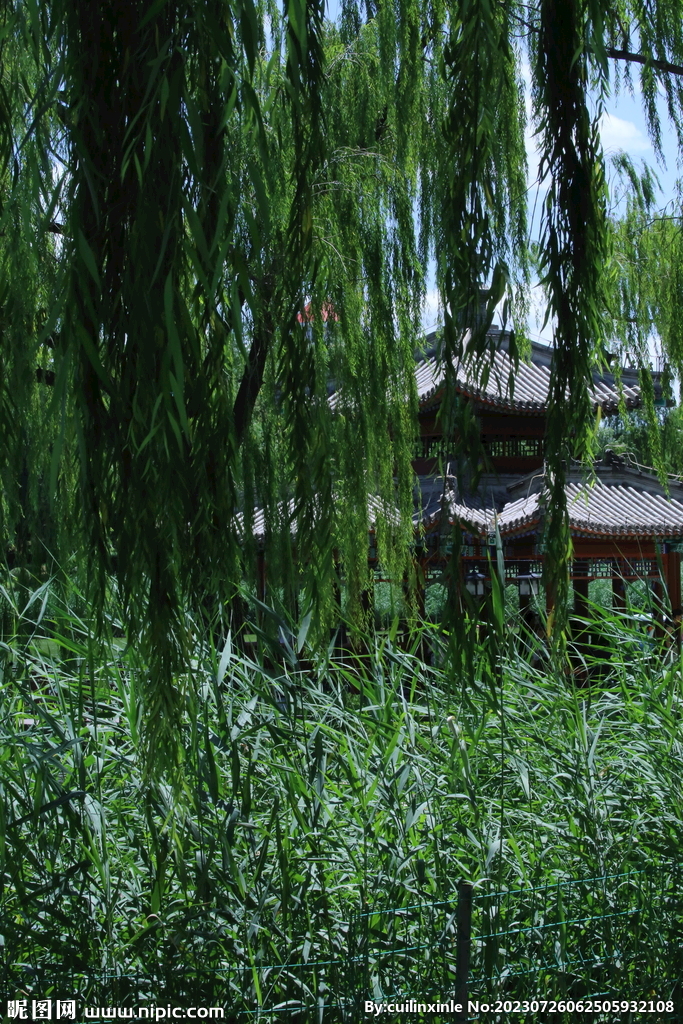 公园风景 