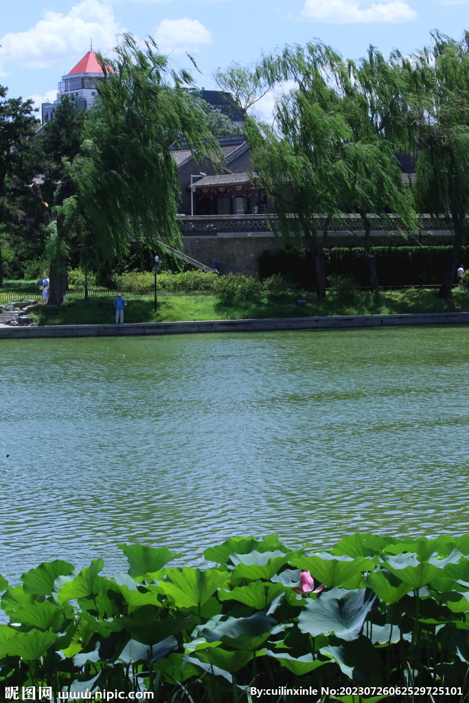 公园风景