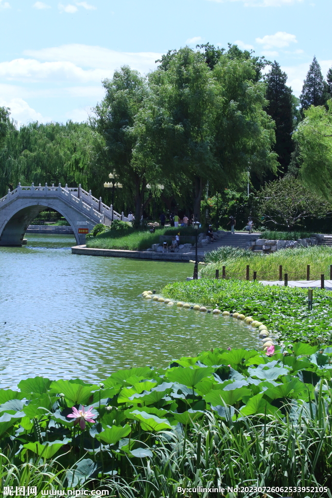 公园风景 