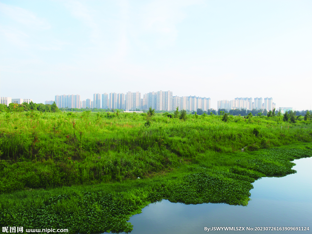 湖边  城市