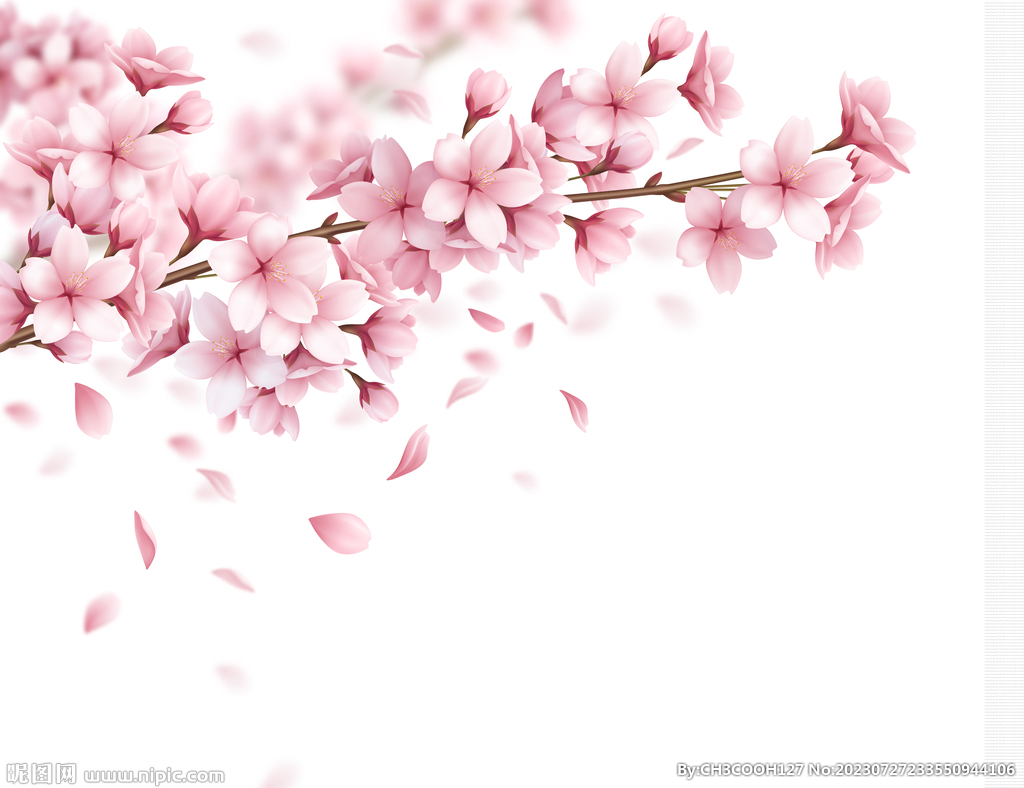 桃花图片