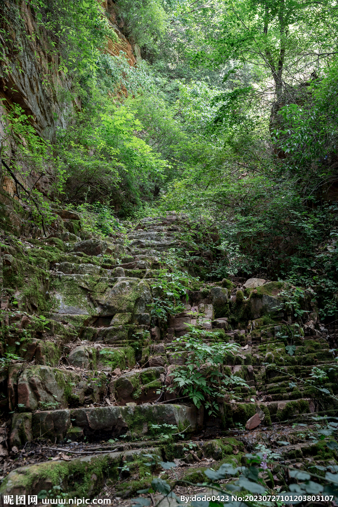 山路