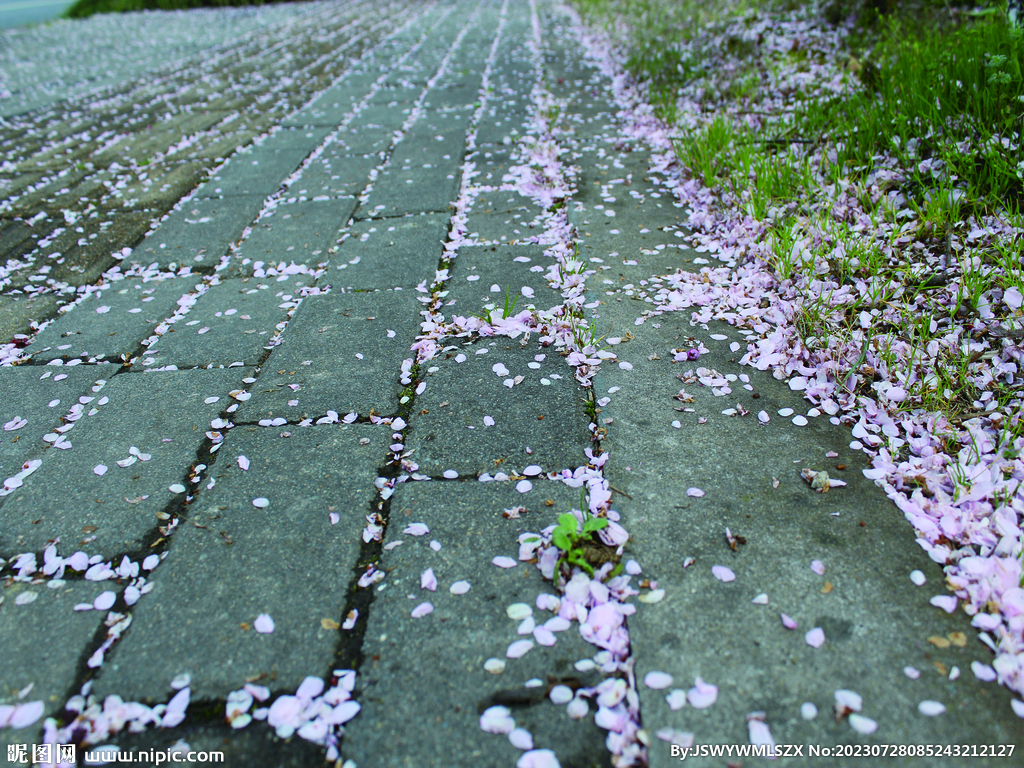 桃花   街道