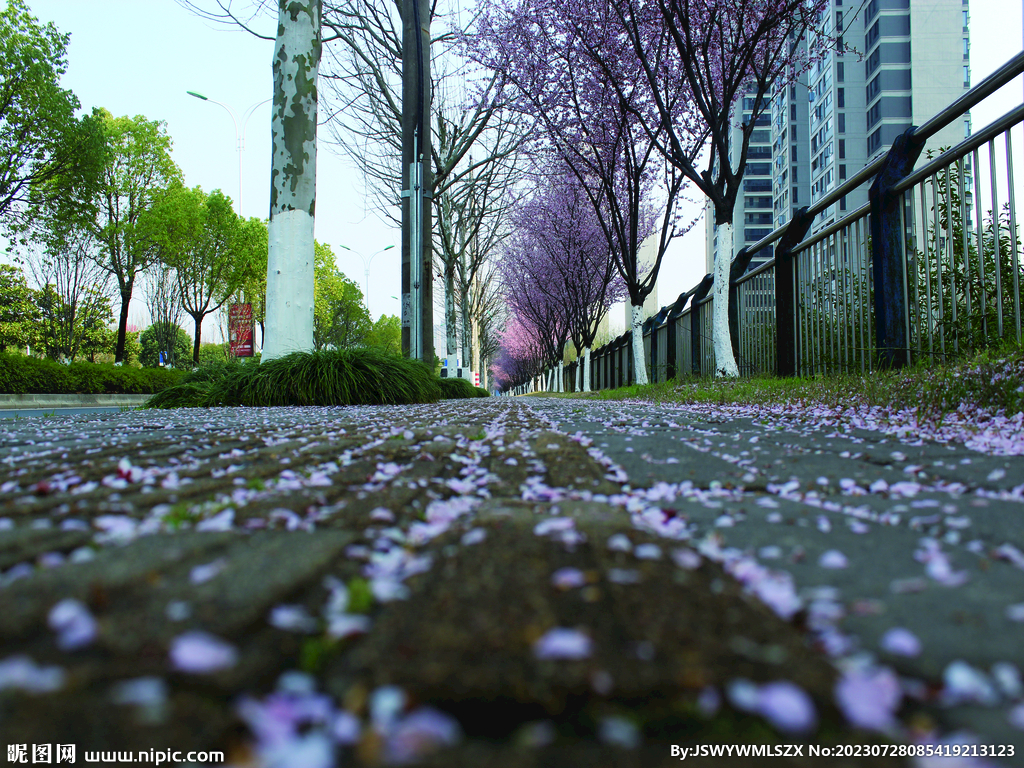 桃花   街道 
