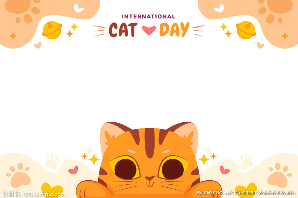 猫图片