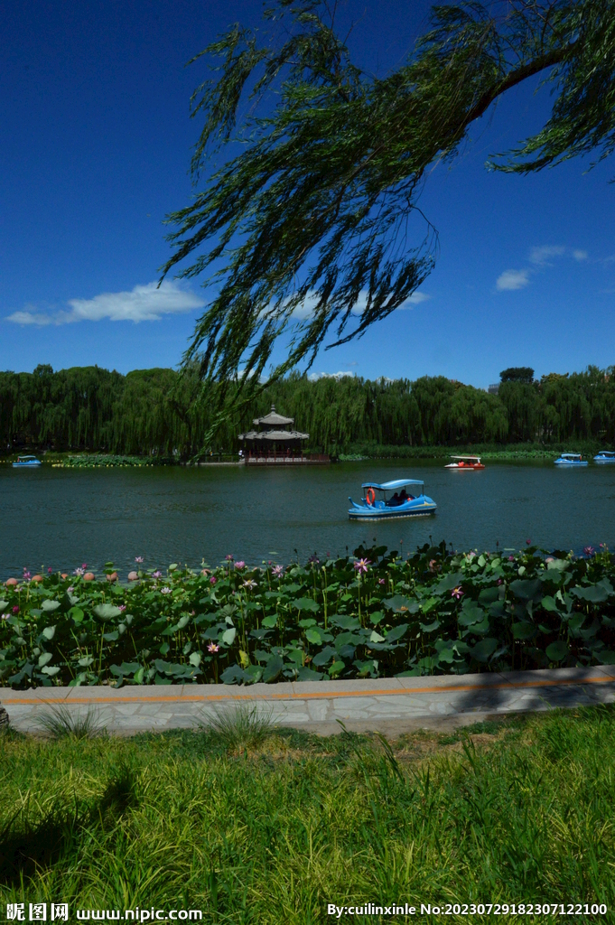 公园风景 