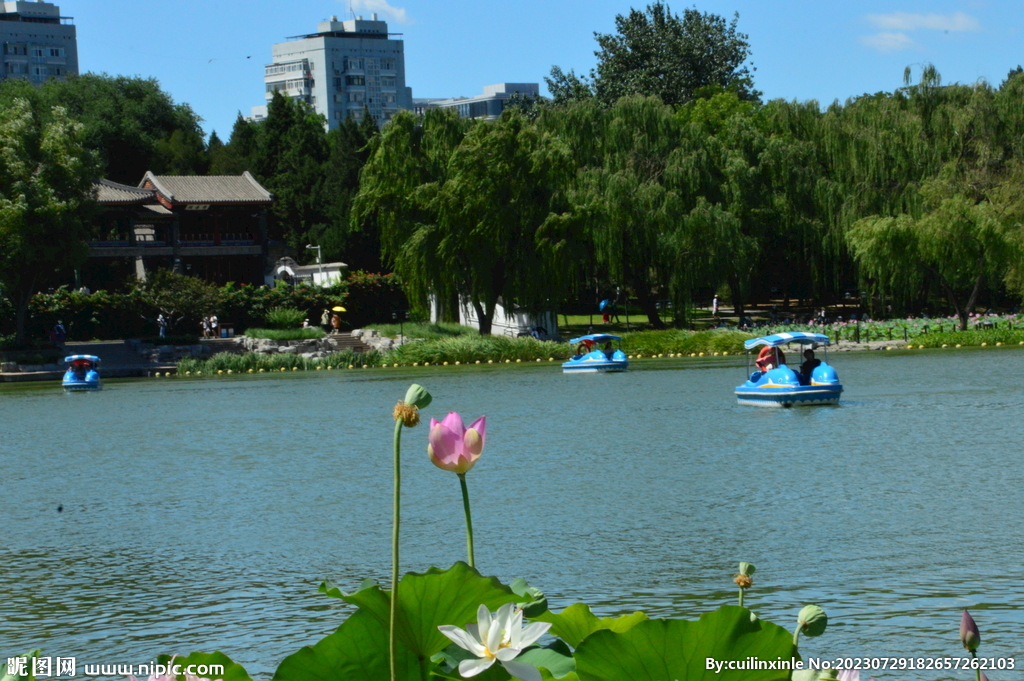 公园风景
