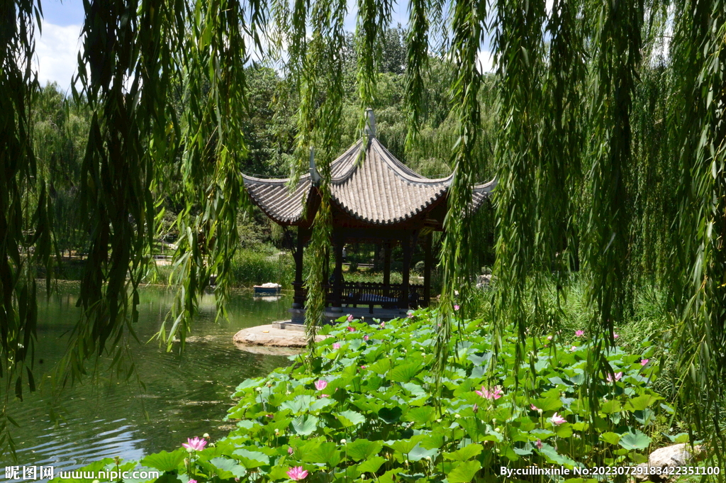 公园风景 