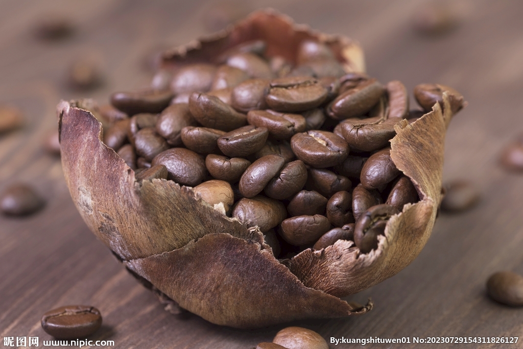 咖啡豆摄影