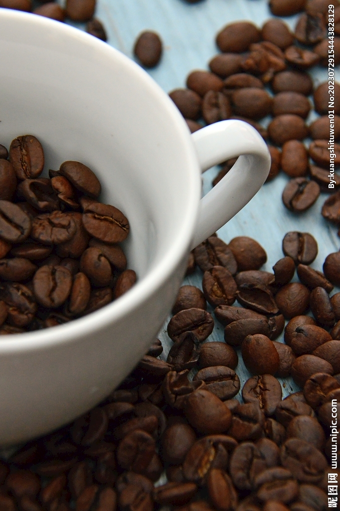 咖啡豆摄影