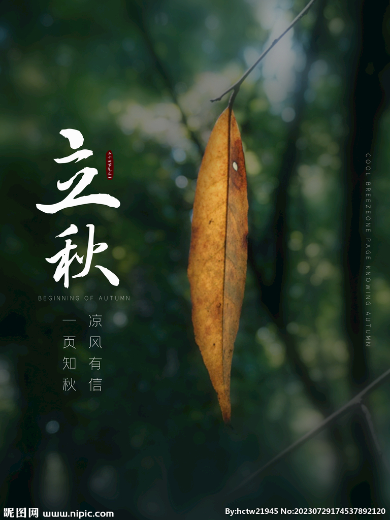 立秋