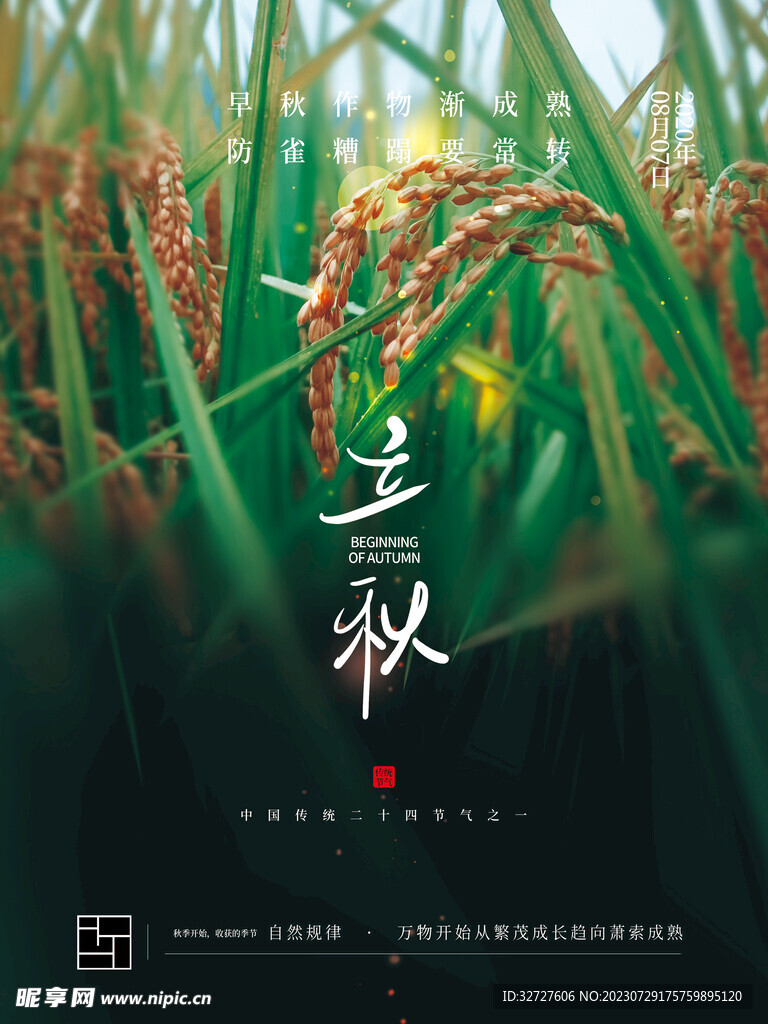 立秋 二十四节气