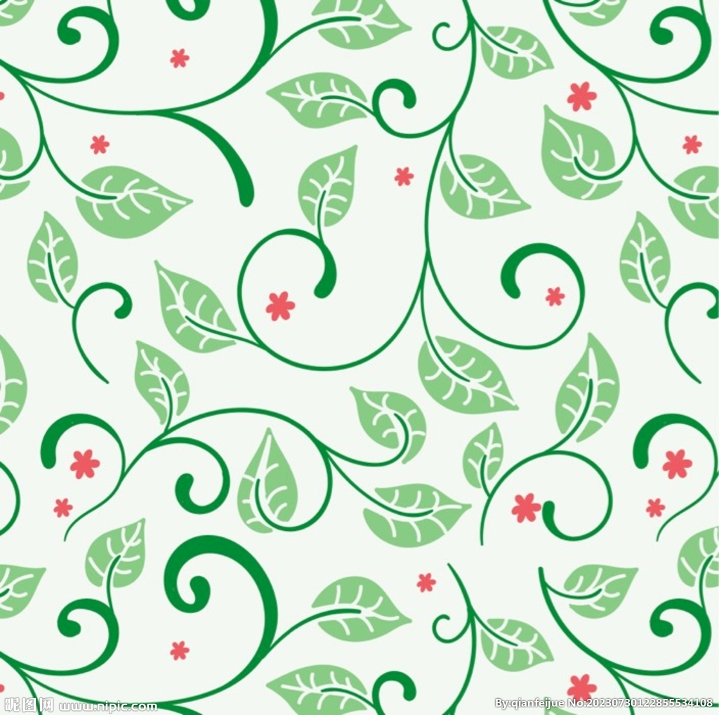 藤蔓植物插画