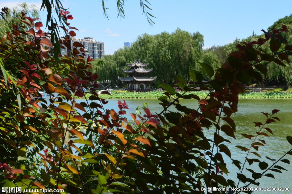 公园风景
