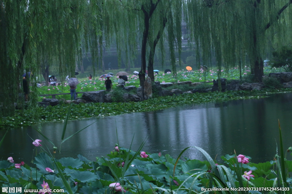 公园风景 
