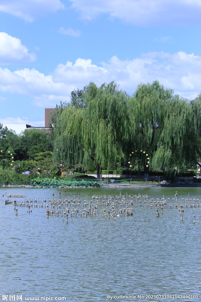 公园风景  