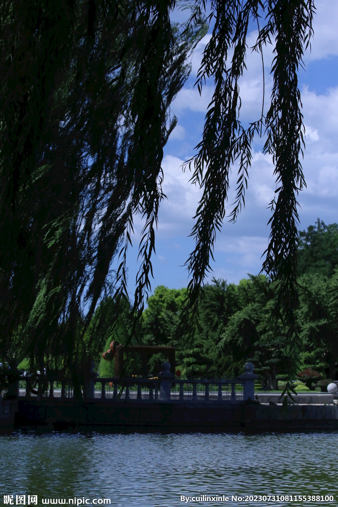公园风景  