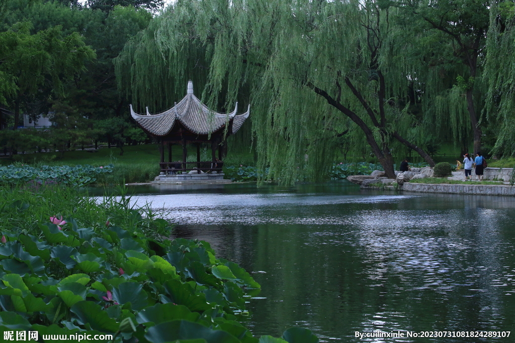 公园风景  