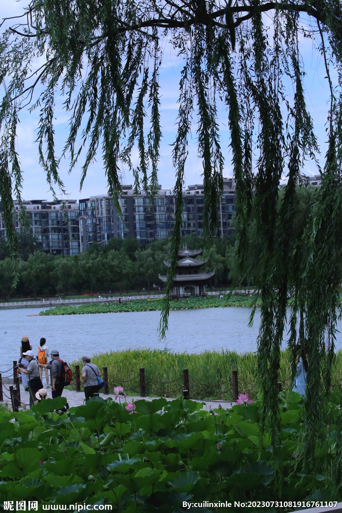 公园风景