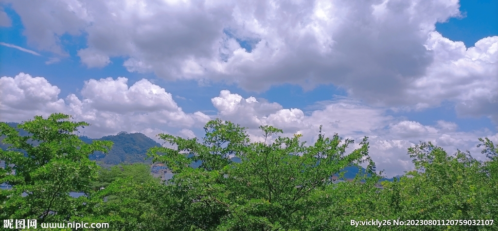 风景