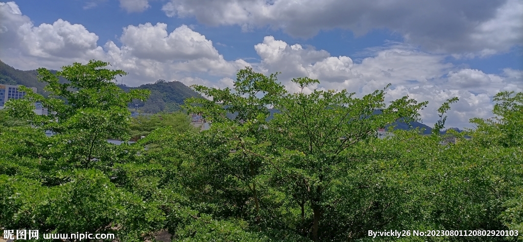风景