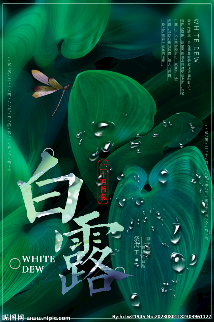 白露 绿叶